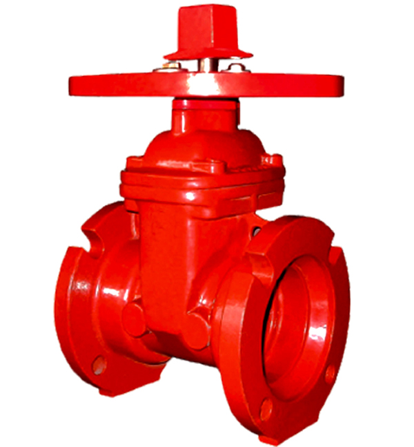 NRS GATE VALVES MECH JOINT