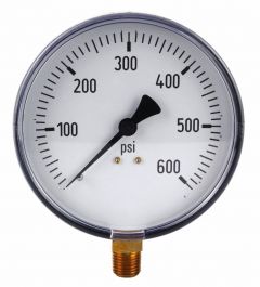 Gauge Dry Filled 4" 600#  Plastic Case