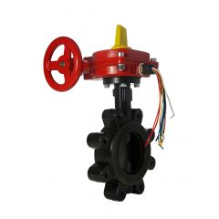 Butterfly Valve 6" Fire Protection Type Lug Style 300PSI