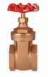 Brass Gate Valve 2" NPT thread 200#