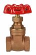 Gate Valve 1/2" NPT thread 200#