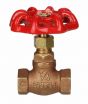 Globe Valve 1/4" NPT thread 200# w/Rubber Seat