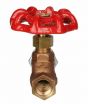 Globe Valve 1/4" NPT thread 200# w/Rubber Seat