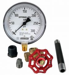 Fire Sprinkler Gauge Kit 300# Air 1/4