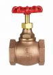 Globe Valve 2" 200# NPT thread w/Rubber Seat