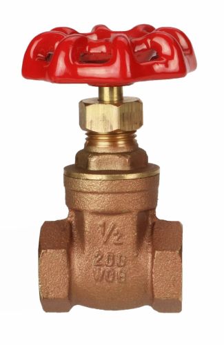 Gate Valve 1/2" NPT thread 200#