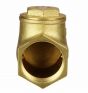 Check Valve 2" NPT thread Rubber Seat