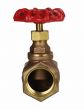 Globe Valve 1" NPT thread 200# w/Rubber Seat