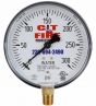 Fire Sprinkler Gauge Personalized 300# Water <UL/FM> USA