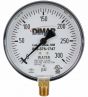 Fire Sprinkler Gauge Personalized 300# Water <UL/FM> USA