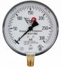 Fire Sprinkler Gauge Personalized 300# Air <UL/FM>