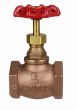 Globe Valve 1-1/4" NPT thread 200# w/Rubber Seat