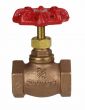 Globe Valve 3/4" NPT thread 200# w/Rubber Seat