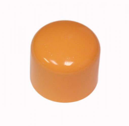 CPVC 3/4" Cap (USA)