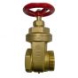 Hydrant Gate Valve 2-1/2" (F)NPT x (M)Hose