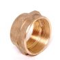 Fire Hose Adapter HEX 1.5 (F)NPT x (F)NST (24/9#)