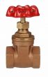 Brass Gate Valve 1" NPT thread 200#