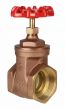 Brass Gate Valve 2" NPT thread 200#