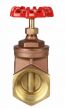 Brass Gate Valve 2" NPT thread 200#